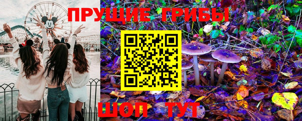 Галлюциногенные грибы GOLDEN TEACHER  Вход с VPN  Кольчугино 