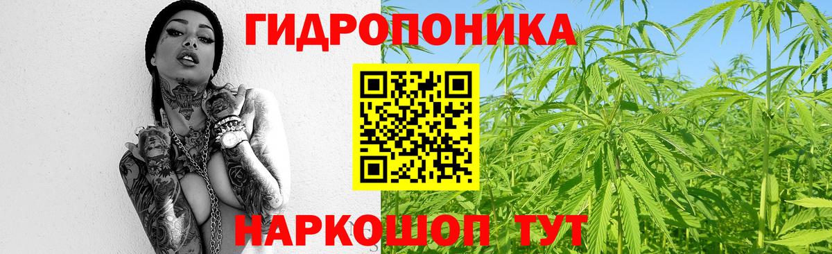 Марихуана White Widow Кольчугино